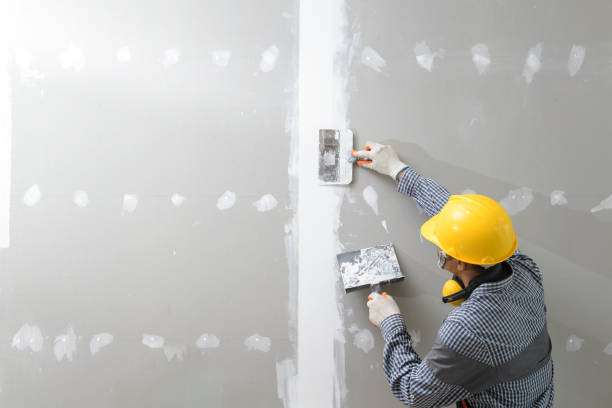 Best Mold Odor Removal Services  in Wadena, MN