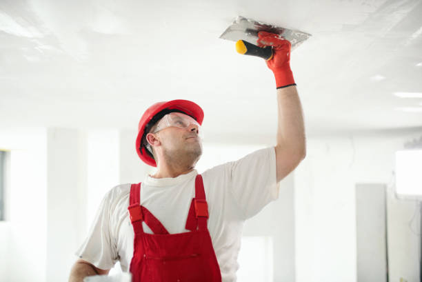 Best Emergency Mold Remediation  in Wadena, MN