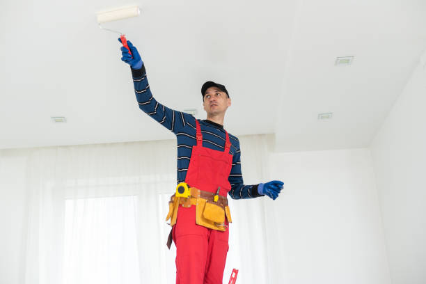 Best Real Estate Mold Inspection  in Wadena, MN