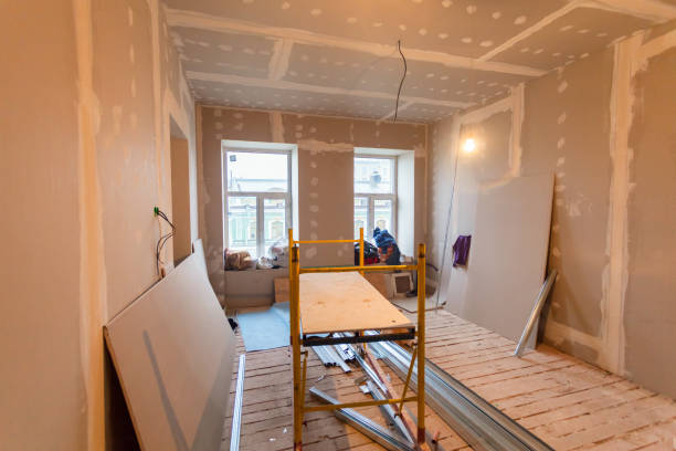 Best Mold Remediation for Healthcare Facilities  in Wadena, MN