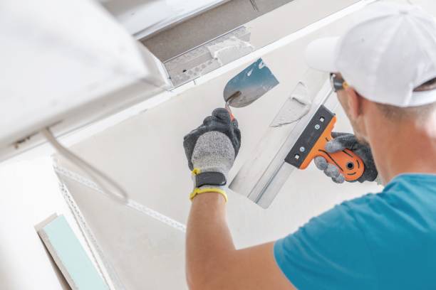 Biohazard Mold Removal in Wadena, MN